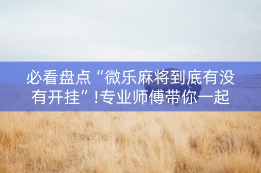必看盘点“微乐麻将到底有没有开挂”!专业师傅带你一起了解（详细教程）-抖音