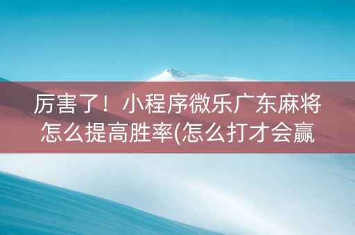 厉害了！小程序微乐广东麻将怎么提高胜率(怎么打才会赢)