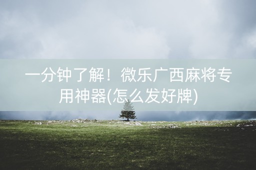 一分钟了解！微乐广西麻将专用神器(怎么发好牌)