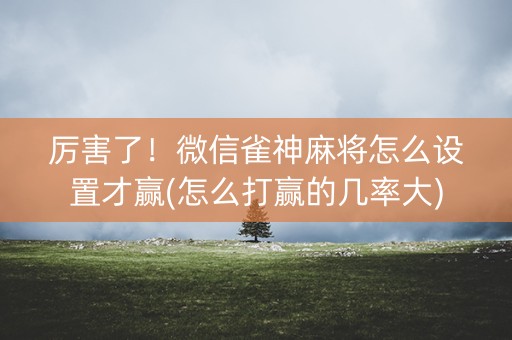 厉害了！微信雀神麻将怎么设置才赢(怎么打赢的几率大)