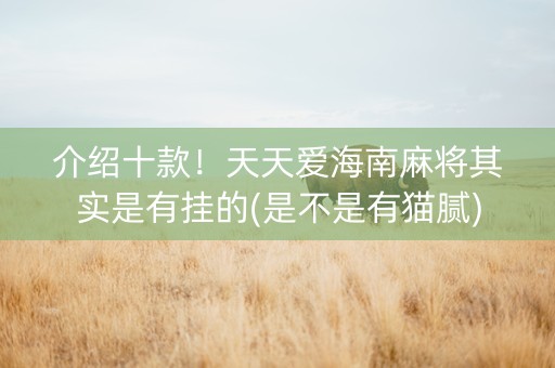 介绍十款！天天爱海南麻将其实是有挂的(是不是有猫腻)