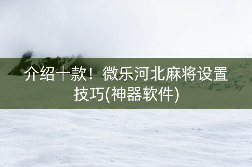 介绍十款！微乐河北麻将设置技巧(神器软件)