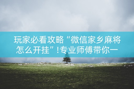 玩家必看攻略“微信家乡麻将怎么开挂”!专业师傅带你一起了解（详细教程）-抖音
