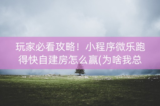 玩家必看攻略！小程序微乐跑得快自建房怎么赢(为啥我总是输)