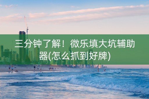 三分钟了解！微乐填大坑辅助器(怎么抓到好牌)