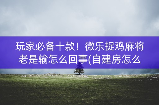 玩家必备十款！微乐捉鸡麻将老是输怎么回事(自建房怎么赢)