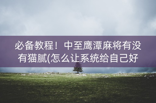 必备教程！中至鹰潭麻将有没有猫腻(怎么让系统给自己好牌)