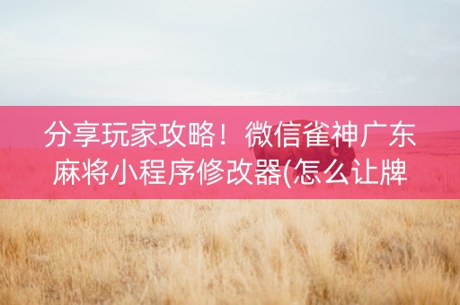分享玩家攻略！微信雀神广东麻将小程序修改器(怎么让牌变好)
