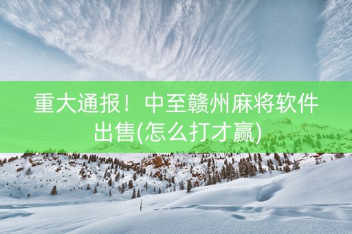 重大通报！中至赣州麻将软件出售(怎么打才赢)