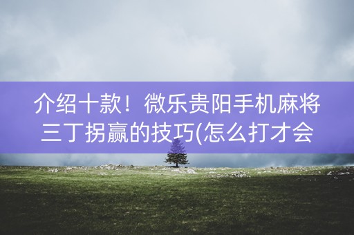 介绍十款！微乐贵阳手机麻将三丁拐赢的技巧(怎么打才会赢)
