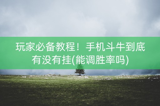玩家必备教程！手机斗牛到底有没有挂(能调胜率吗)