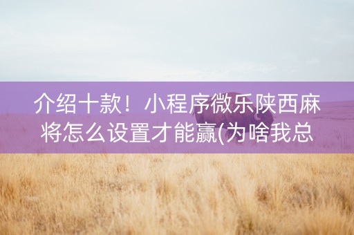介绍十款！小程序微乐陕西麻将怎么设置才能赢(为啥我总是输)