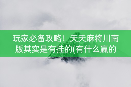 玩家必备攻略！天天麻将川南版其实是有挂的(有什么赢的技巧)
