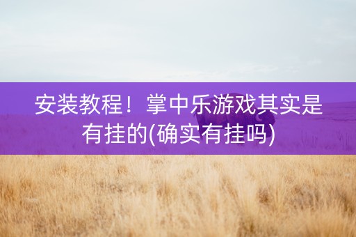 安装教程！掌中乐游戏其实是有挂的(确实有挂吗)