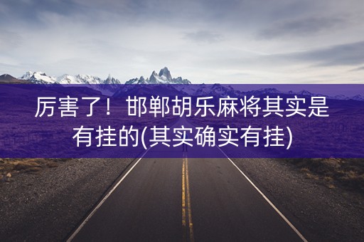 厉害了！邯郸胡乐麻将其实是有挂的(其实确实有挂)