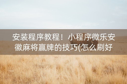 安装程序教程！小程序微乐安徽麻将赢牌的技巧(怎么刷好牌)