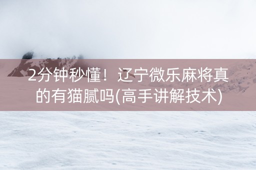 2分钟秒懂！辽宁微乐麻将真的有猫腻吗(高手讲解技术)