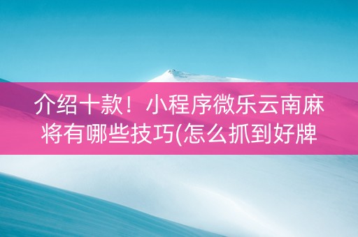 介绍十款！小程序微乐云南麻将有哪些技巧(怎么抓到好牌)