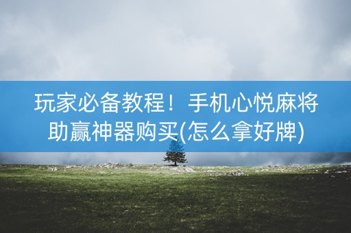 玩家必备教程！手机心悦麻将助赢神器购买(怎么拿好牌)