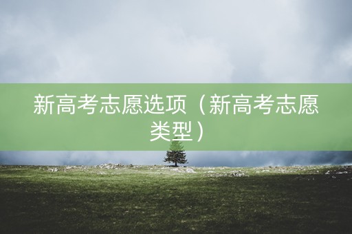 新高考志愿选项（新高考志愿类型）