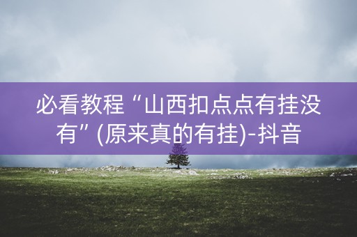 必看教程“山西扣点点有挂没有”(原来真的有挂)-抖音