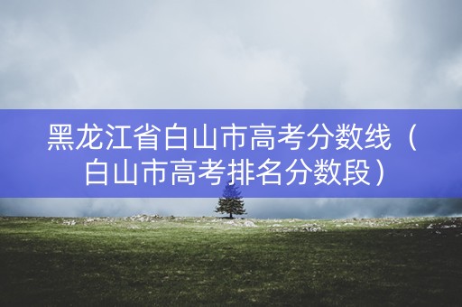 黑龙江省白山市高考分数线（白山市高考排名分数段）