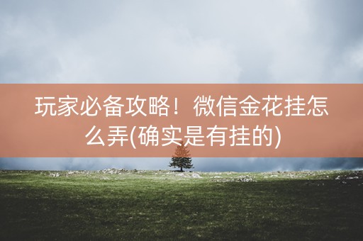 玩家必备攻略！微信金花挂怎么弄(确实是有挂的)