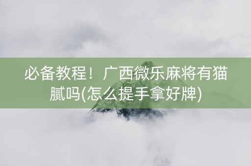 必备教程！广西微乐麻将有猫腻吗(怎么提手拿好牌)