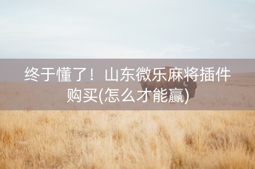 终于懂了！山东微乐麻将插件购买(怎么才能赢)