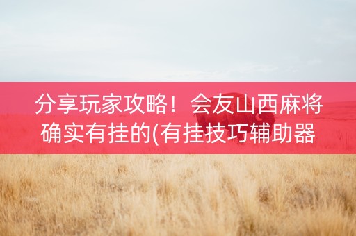 分享玩家攻略！会友山西麻将确实有挂的(有挂技巧辅助器)
