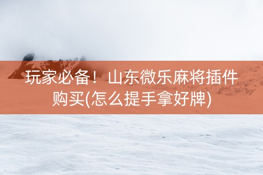 玩家必备！山东微乐麻将插件购买(怎么提手拿好牌)