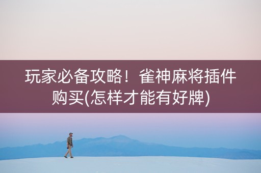玩家必备攻略！雀神麻将插件购买(怎样才能有好牌)