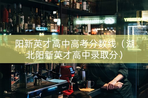 阳新英才高中高考分数线（湖北阳新英才高中录取分）