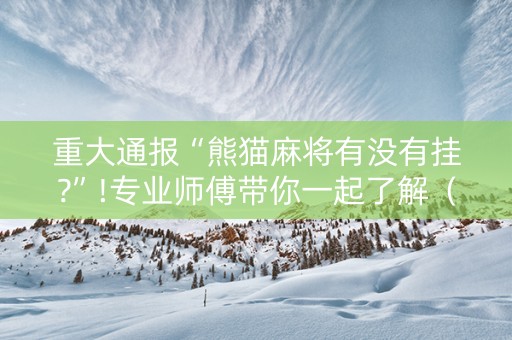重大通报“熊猫麻将有没有挂?”!专业师傅带你一起了解（详细教程）-抖音