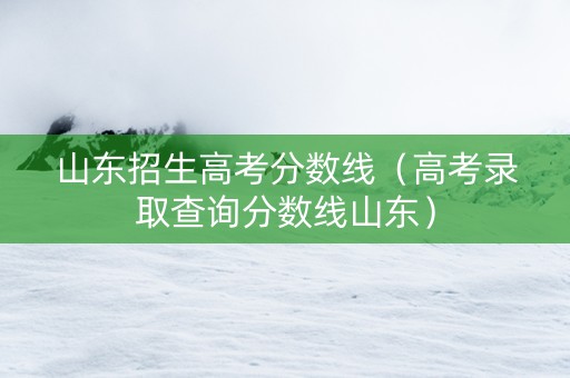 山东招生高考分数线（高考录取查询分数线山东）