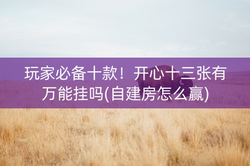 玩家必备十款！开心十三张有万能挂吗(自建房怎么赢)