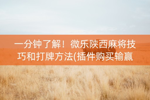 一分钟了解！微乐陕西麻将技巧和打牌方法(插件购买输赢规律)