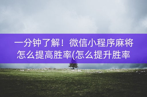 一分钟了解！微信小程序麻将怎么提高胜率(怎么提升胜率)
