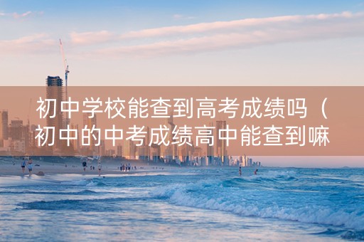 初中学校能查到高考成绩吗（初中的中考成绩高中能查到嘛）