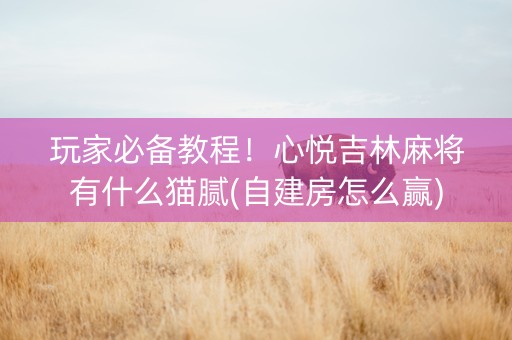 玩家必备教程！心悦吉林麻将有什么猫腻(自建房怎么赢)