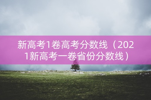 新高考1卷高考分数线（2021新高考一卷省份分数线）