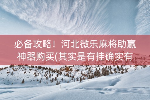 必备攻略！河北微乐麻将助赢神器购买(其实是有挂确实有挂)