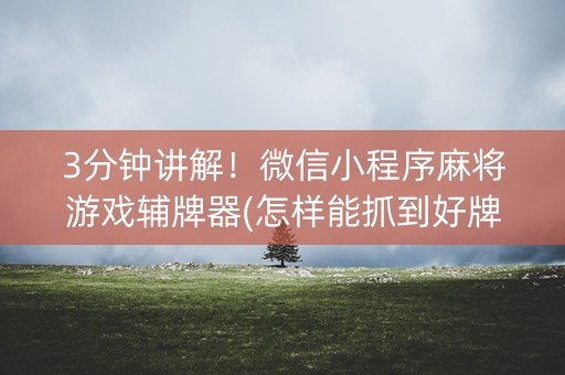 3分钟讲解！微信小程序麻将游戏辅牌器(怎样能抓到好牌)