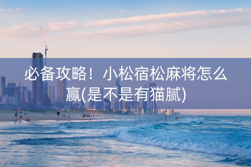 必备攻略！小松宿松麻将怎么赢(是不是有猫腻)