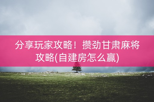 分享玩家攻略！攒劲甘肃麻将攻略(自建房怎么赢)