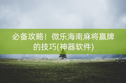 必备攻略！微乐海南麻将赢牌的技巧(神器软件)