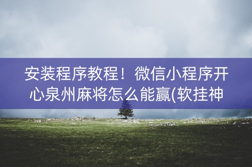 安装程序教程！微信小程序开心泉州麻将怎么能赢(软挂神器)