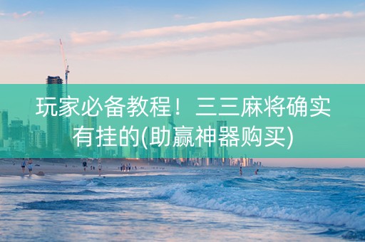 玩家必备教程！三三麻将确实有挂的(助赢神器购买)