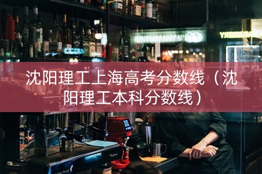 沈阳理工上海高考分数线（沈阳理工本科分数线）