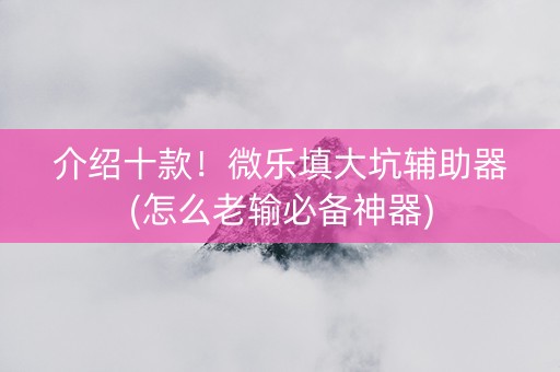 介绍十款！微乐填大坑辅助器(怎么老输必备神器)